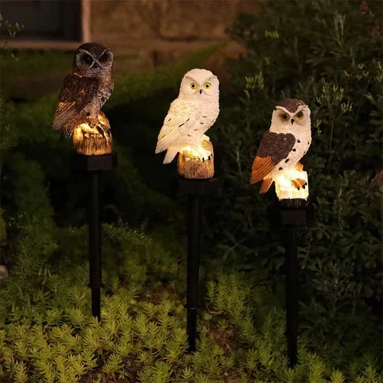 🔥Last Day 50% OFF🦉Brighten your garden path today Solar Owl Pathway Light