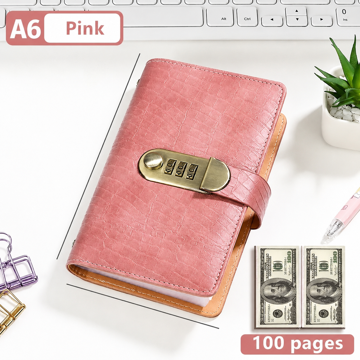 💵100 Transparent Pocket Currency Collectors Album