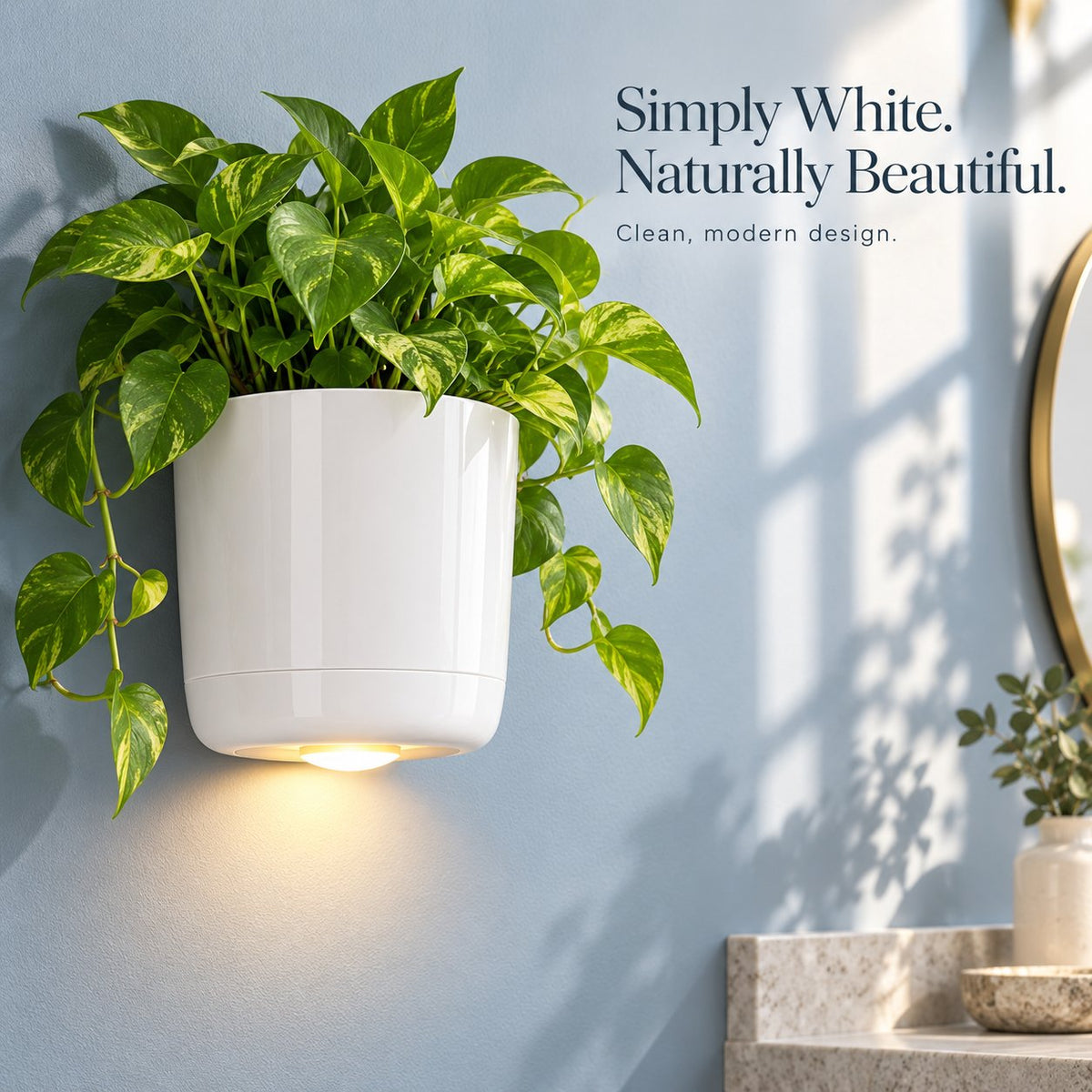 🌿✨ Turn a Blank Wall Into a Softly Glowing Greenery Spot — the White Wall-Mounted Planter Holds Your Favorite Herb
