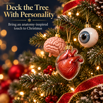 🫀 Anatomy Christmas Advent Calendar ✨ Hearts, Brains & Unexpected Surprises