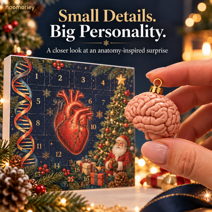 🫀 Anatomy Christmas Advent Calendar ✨ Hearts, Brains & Unexpected Surprises