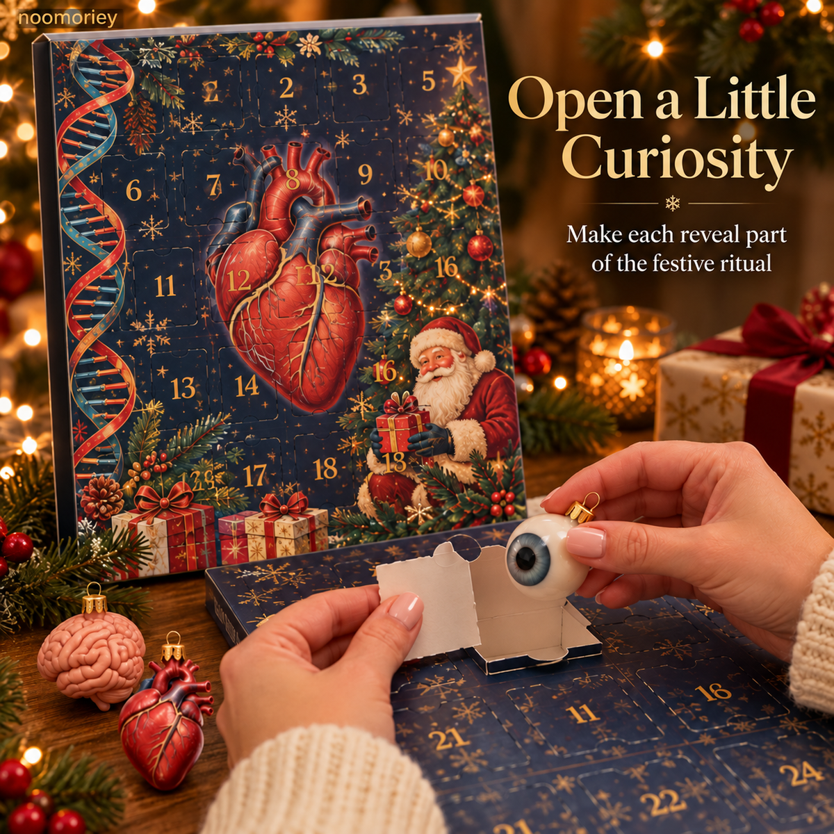 🫀 Anatomy Christmas Advent Calendar ✨ Hearts, Brains & Unexpected Surprises