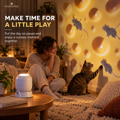 🧀 Cheese & Mouse Cat Projector – Indoor Fun for Curious Cats